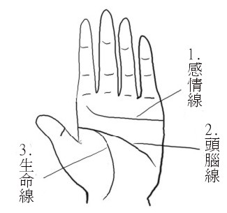 3.爱情运必须由三大主线和掌型看起