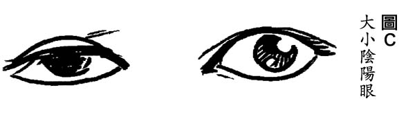 22a.jpg (13738 bytes)
