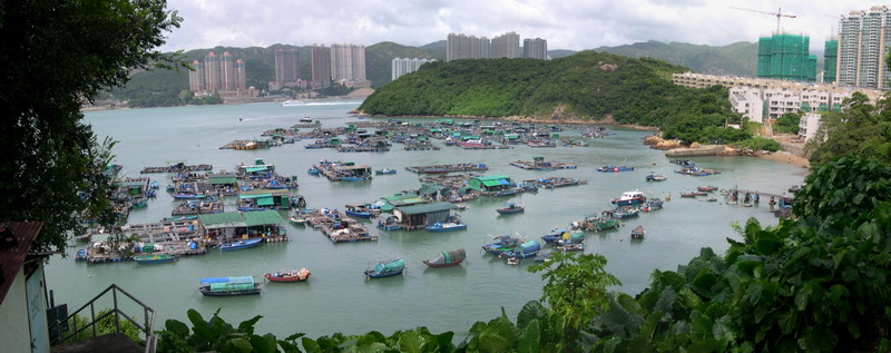 《新玄机》 杂志——风水屋之撰择(45):珀丽湾--陈万成